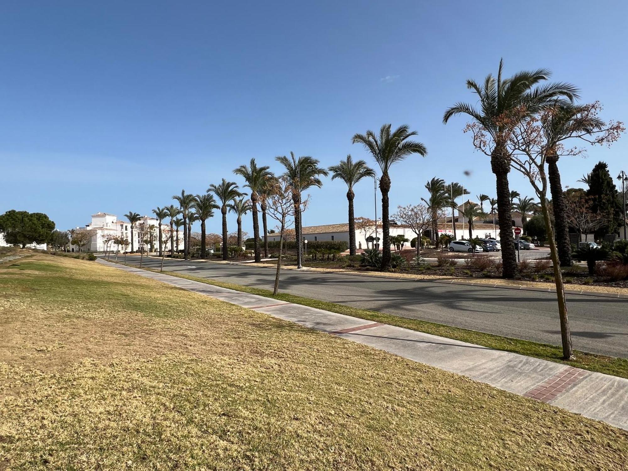 Apartment In Hacienda Riquelme Golf Resort ซูซินา ภายนอก รูปภาพ